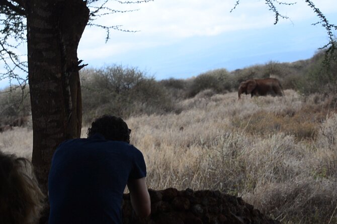 2-Day Amboseli Safari Witness Wildlife & Mt Kilimanjaro View