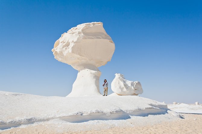 2 Day Bahariya Oasis White Desert Tour