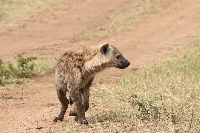 2-days-to-tarangire-and-ngorongoro-crater-overview