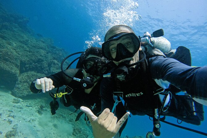 2-dives-for-certified-divers-in-fujairah-with-bbq-lunch-overview-of-the-activity