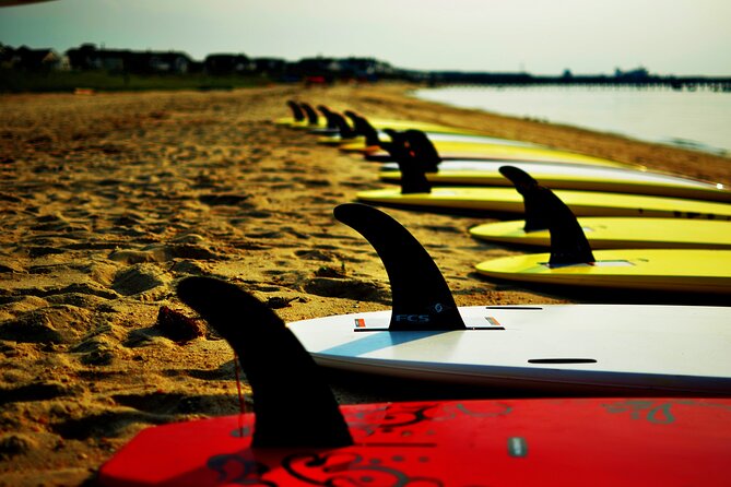 2-hour-paddleboard-rental-in-rehoboth-bay-overview-of-the-rental