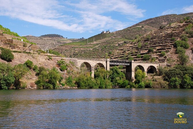 2-Hour Rabelo Boat Tour in Pinhão - Tour Overview and Details