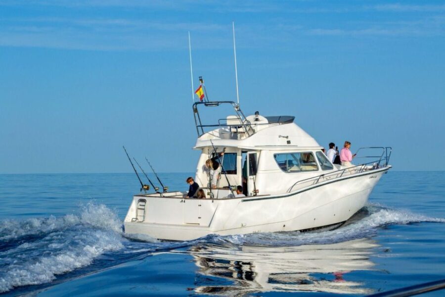 2 Hours Private Dolphin Watching Excursion