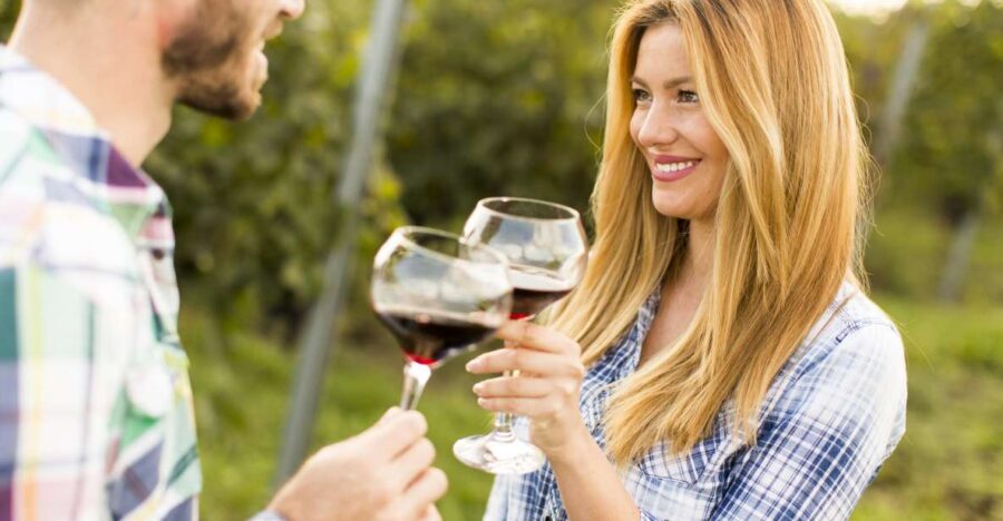 2 Wineries Tour With Wine Tasting, Olive Oil Tasting & Lunch