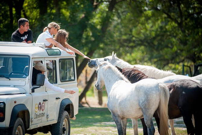 3-5-hour-camargue-4x4-safari-from-le-grau-du-roi-escape-the-tourist-trail