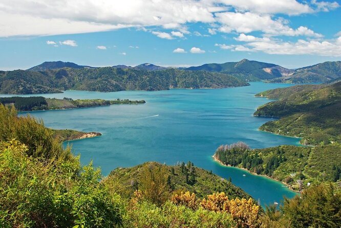 3.5 Hour Marlborough Sounds Delivery Cruise - Overview and Experience