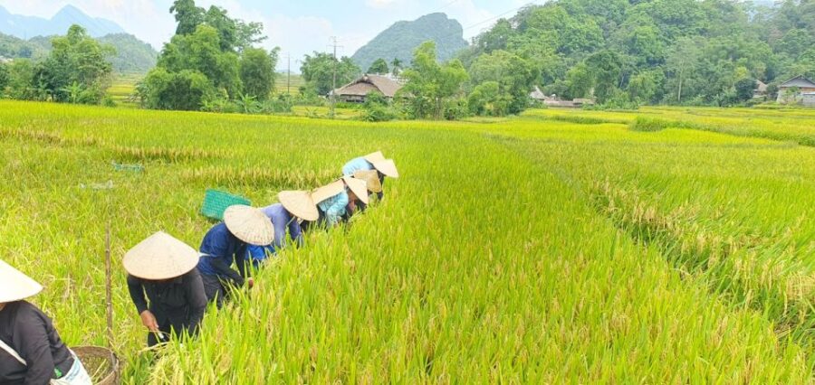 3-day-amazing-ha-giang-loop-self-riding-motorbike-overview-of-the-tour