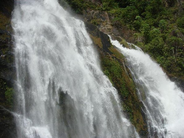 3-Day Best of Cairns Combo: The Daintree Rainforest, Great Barrier Reef, and Kuranda