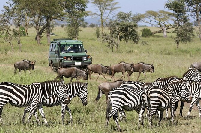 3-Day Ngorongoro Crater Manyara and Tarangire Safari From Arusha