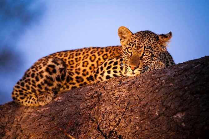 5 Best National Park Tours In Diani Beach