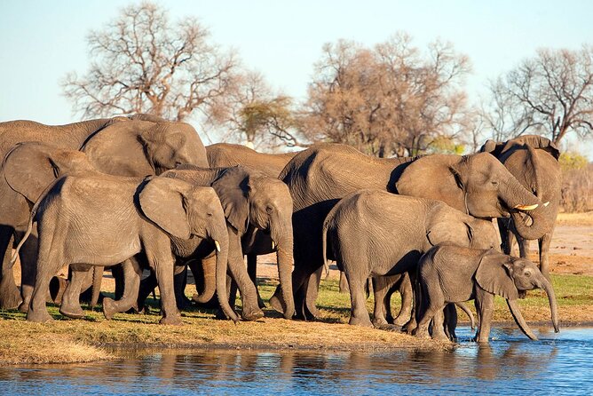 3-Day Tarangire, Ngorongoro and Lake Manyara Group Joining Tour