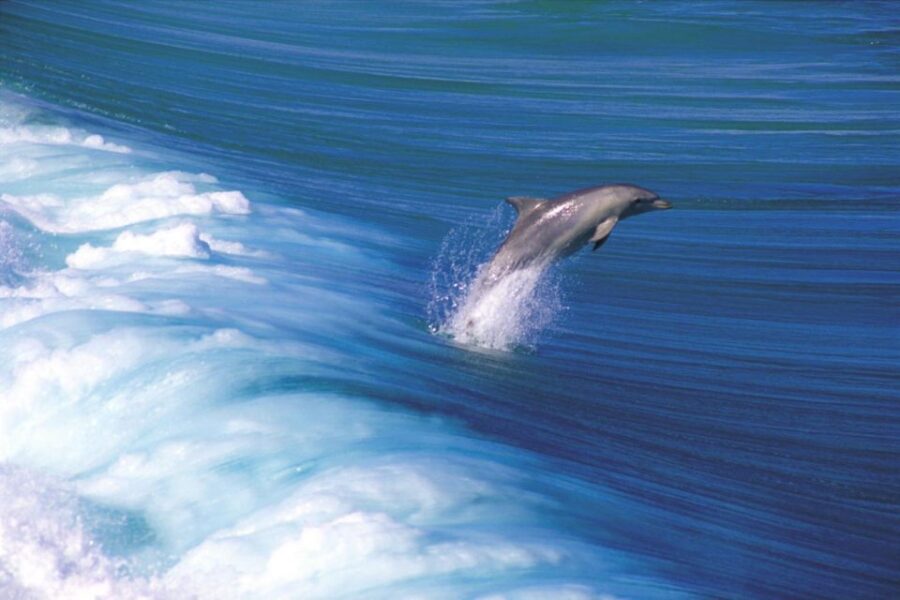 3-Day Yorkes Peninsula Coastal Wilderness Tour From Adelaide