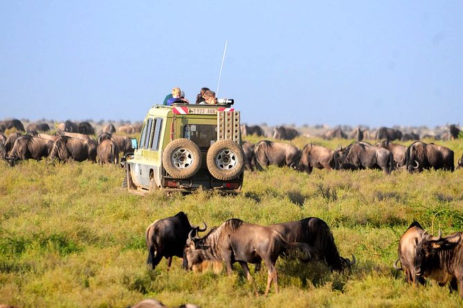 3 Days 2 Nights Serengeti, Ngorongoro & Tarangire Wildlife Lodge Safari