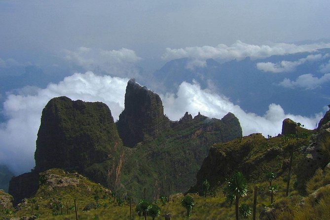 3 Days Bale Mountains Trekking