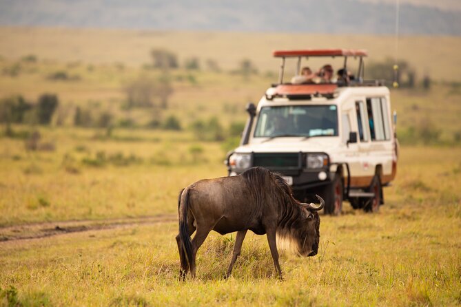 3 Days Fly in Safari