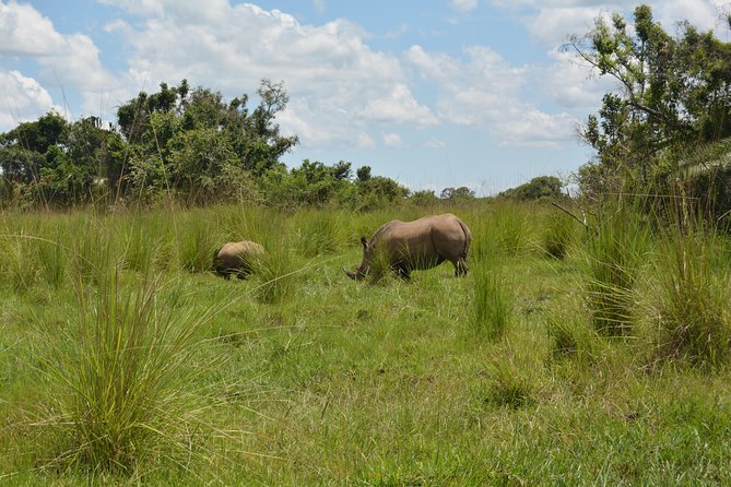 3-days-murchison-falls-vacation-including-big-5-sighting-tour-overview