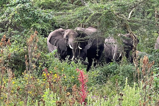 3-days-selous-nyerere-national-park-overview-of-selous-game-reserve