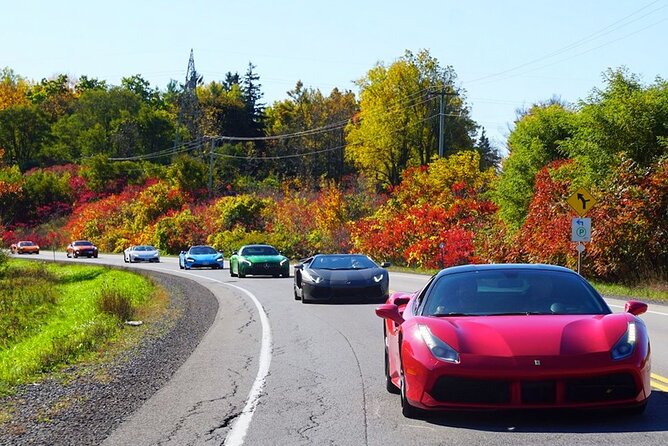 3 Hour Exotic Car Tour Driving 4 to 5 Super Cars - Tour Overview