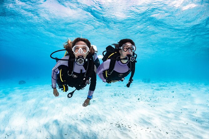 3-Hour Guided PADI Scuba Diving Experience in Tenerife