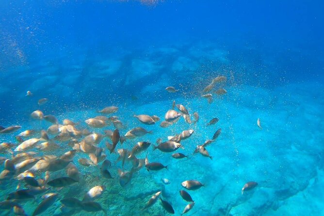3-hour Guided Submarine Tour in Saint Pauls Bay, Lindos and Navarone Bay - Tour Overview