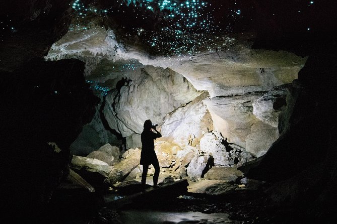 3-Hour Private Photography Tour in Waitomo Caves - Tour Overview and Details