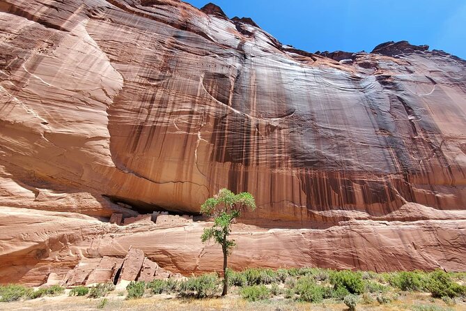 2 Best 3 Hour Tours and Experiences in Chinle