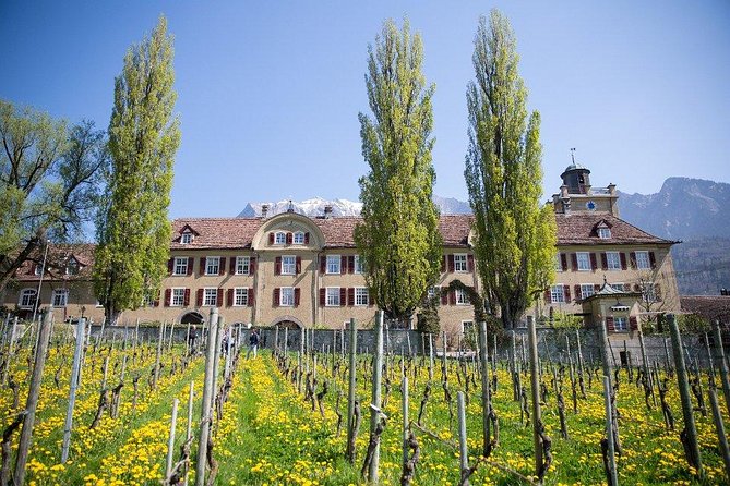 3 Hour Unique Wine Tour - Half Day in Swiss Alps