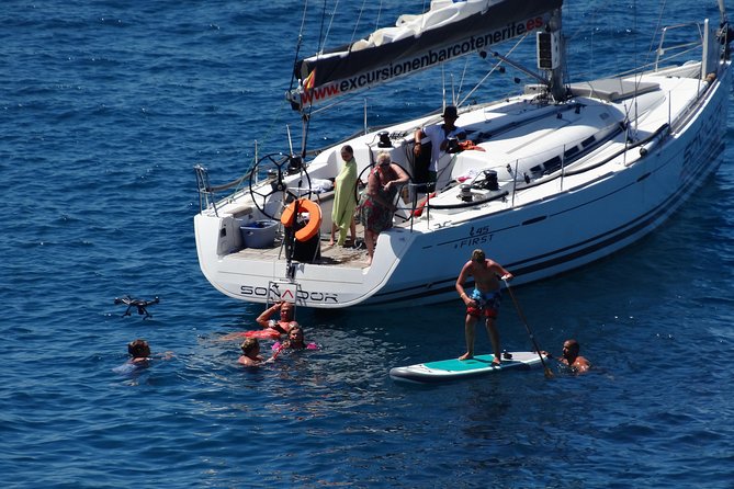 3 Hours All Inclusive Whale and Dolphin Whatching Yacht Trip