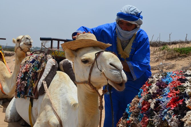 3 Hours Camel Ride in Essaouira, Beach and Dunes - Tour Overview