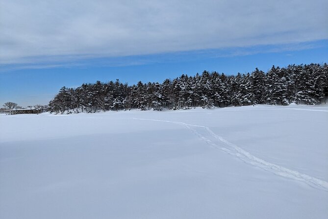 3 Hours Shiretoko Five Lakes Snowshoe Tour - Tour Details