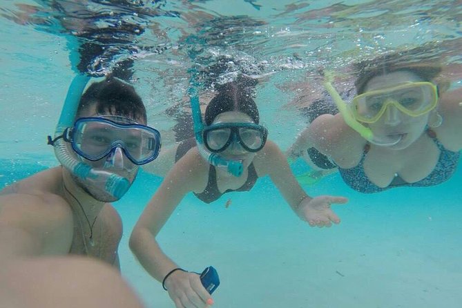 3 Point Snorkeling Safari - Overview of the Tour