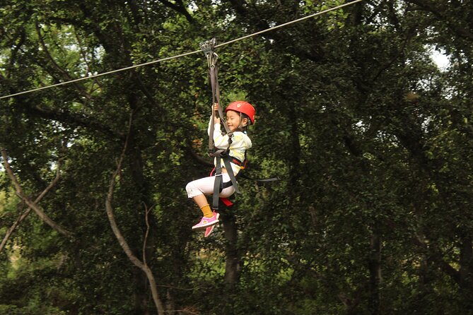 3-ziplines-with-waikiki-transportation-tour-overview