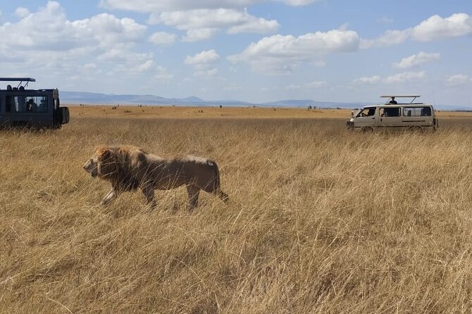 4-Day Masai Mara, L Naivasha and L Nakuru Safari - Itinerary Overview