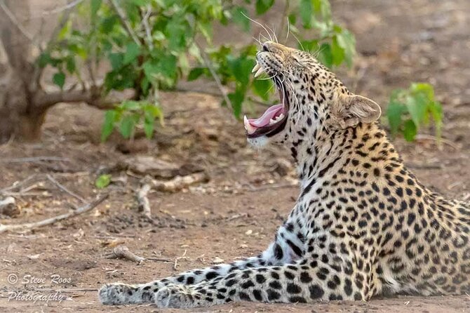 4-Day Safari to Tarangire ,Serengeti and Ngorongoro Crater From Arusha
