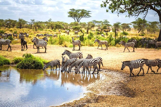 4-day-small-group-safari-in-tarangire-ngorongoro-and-serengeti-safari-overview