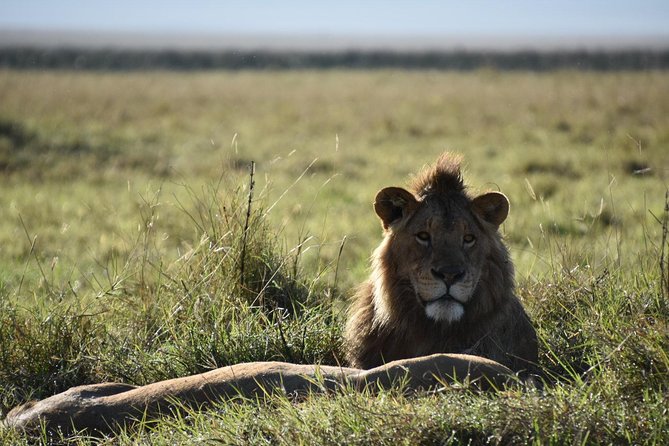 4 Days Group Safari