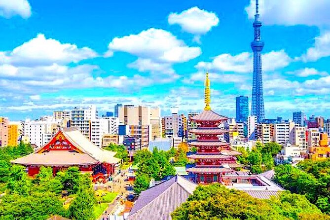 4-days-private-mt-fuji-tokyo-kamakura-nikko-hakone-yokohama-tour-included-in-the-tour