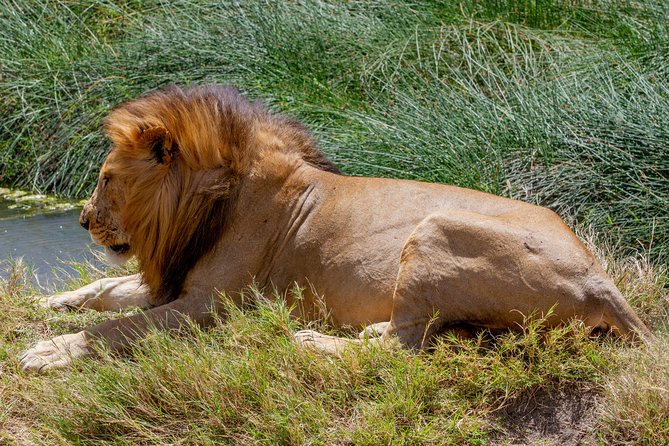 4 Days Tarangire , Ngorongoro ,Manyara and Lake Eyasi Village