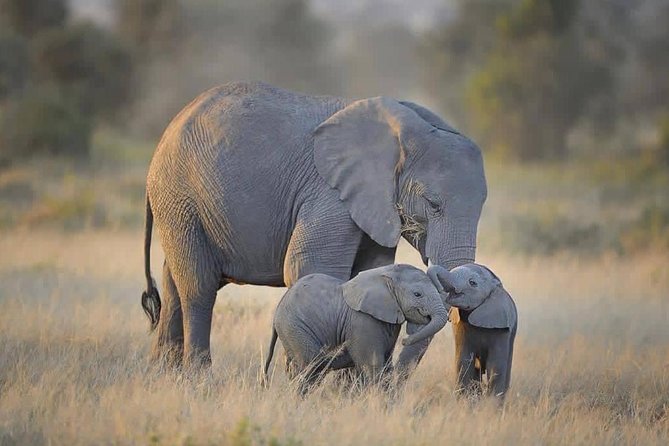 4 Days Tarangire, Serengeti & Ngorongoro