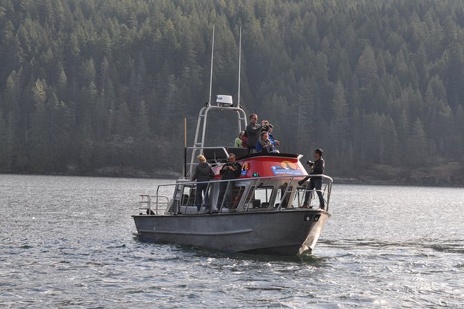 4 Hour Covered Boat Whale and Wildlife Tour