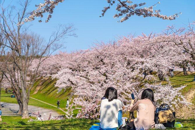 4-hour-private-cherry-blossom-sakura-experience-in-nagasaki-tour-details