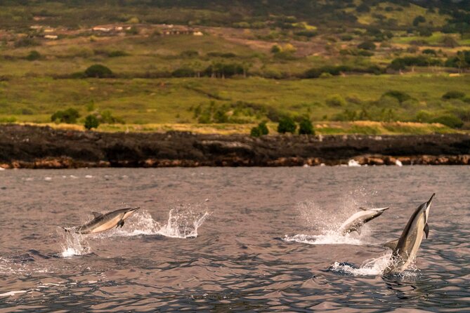 4 Hour Super-Raft Snorkeling Experience in Kailua-Kona
