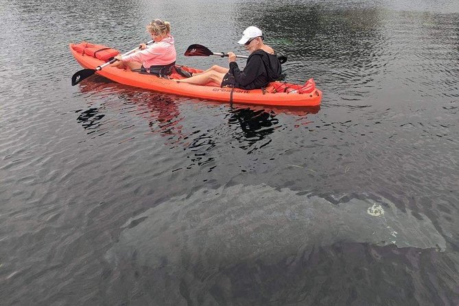 4 Hour Tandem Kayak Rental For Two People In Crystal River, Florida