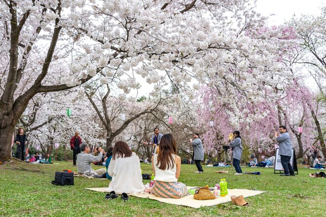 4-hour-unique-kanazawa-cherry-blossom-sakura-private-experience-overview-of-the-experience