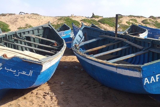 4 Hours.Agadir : Trip to Sahara and Tifnit Fishing Village - Tour Overview