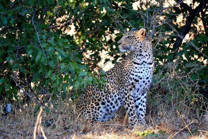 4-night-kruger-safari-and-blyde-canyon-overview-and-itinerary