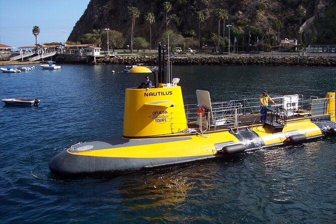 45 Minute Semi-Submarine Tour of Catalina Island From Avalon - Overview of the Tour