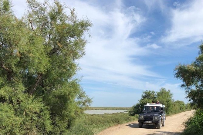 4x4 Camargue Safari 4h - Departure From Arles - Overview of the Tour