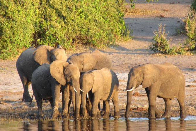 5-day-victoria-falls-and-chobe-tour-from-victoria-falls-tour-overview