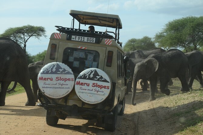5-days-best-of-northern-circuit-budget-safari-in-tanzania-safari-overview